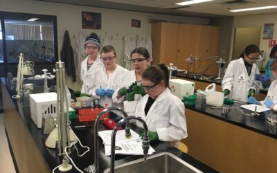 Student teams build synthetic biology skills at geekStarter 2019 Wet Lab Skills workshop