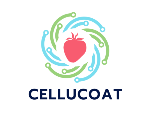CelluCoat – Using recycled fruit waste to develop a bacterial cellulose-based edible, preservative coating for fruits and vegetables