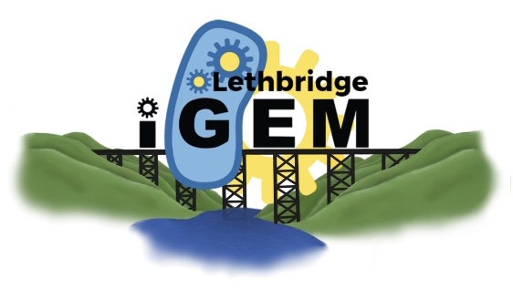 ULethbridge iGEM – a solution to the issue of blue-green algae in Southern Alberta and around the world