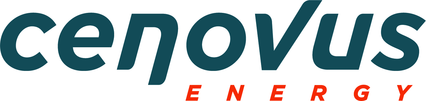 2021-CVE-Logo-CMYK