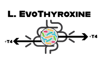L.Evothyroxine – aims to address difficulties associated with treatment of hypothyroidism