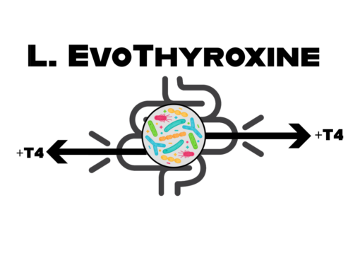 L.Evothyroxine – aims to address difficulties associated with treatment of hypothyroidism
